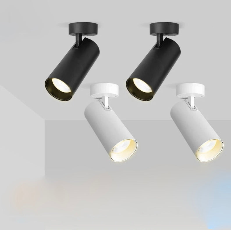Ceiling spotlight led top